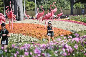 BIB: 
                            <button type="button" onclick="openModal(27794322)" class="btn btn-primary btn-sm float-right btn-popup" data-toggle="modal" data-target=".modal-high-quality">
                        <i class="fas fa-shopping-cart"></i> Add to Cart
                    </button>
                                            <button type="button" onclick="isThisMe(27794322, true)" class="btn btn-success btn-sm float-right btn-popup btn-isme hidden" data-toggle="tooltip" data-placement="bottom" title="นี่คือรูปของคุณใช่ไหม คลิกที่นี่เพื่อเอาเข้าอัลบั้ม">
                        <i class="fas fa-plus"></i> Add to album
                    </button>
                    <button type="button" onclick="isThisMe(27794322, false)" class="btn btn-warning btn-sm float-right btn-popup btn-isnotme hidden">
                        <i class="fas fa-ban"></i> Remove from album
                    </button>